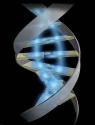 dna
