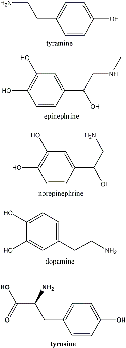 moleculas tiramina