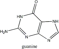 guanina molecula