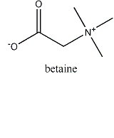 molécula da betaina