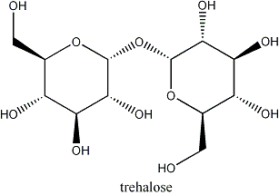 molecula estrutura trehalose
