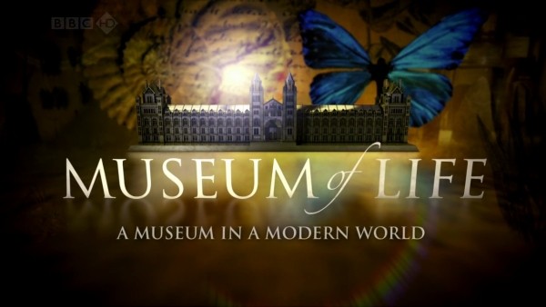 série de documentários museu britânico