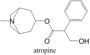 desenho da molécula