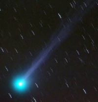 cometa swan