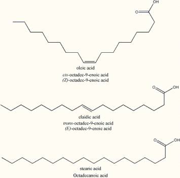 acidos graxos moleculas