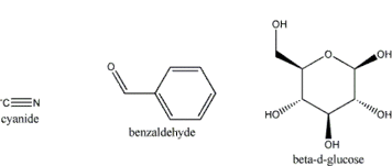 hidrolise laetrila