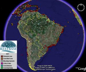 recife coral google earth