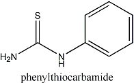 feniltiocarbamida molecula