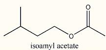 molecula acetato de isoamila
