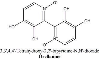 molecula orelanina - veneno de cogumelo