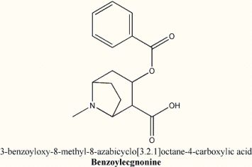 molecula de benzoilecgonina