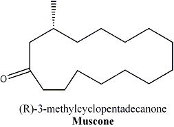 molécula de muscona