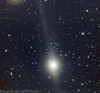 cometa lulin