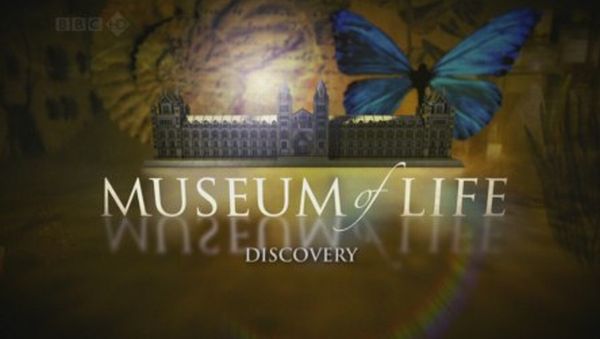 documentário descobertas museu da vida