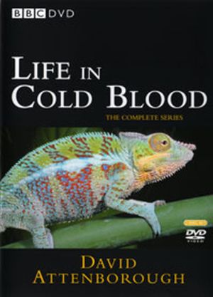 animais de sangue frio documentário