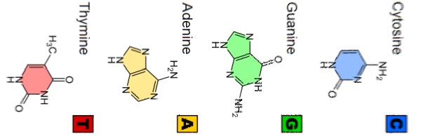 moleculas