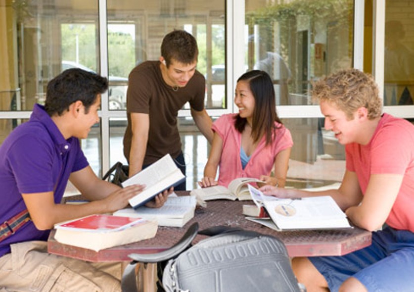 pessoas estudando em livros