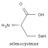 estrutura da molecula