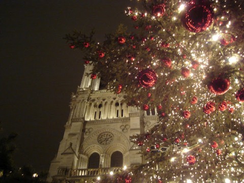 detalhe da catedral notre dame